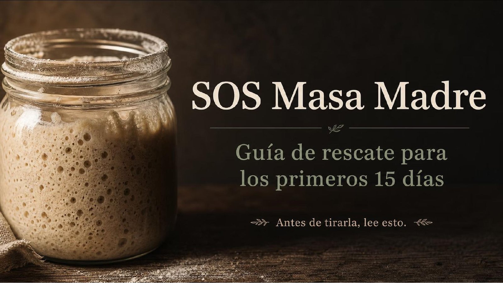 Portada real de SOS Masa Madre